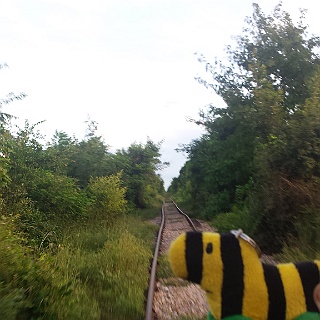2016 Kambodscha Bamboo Train  2016 Kambodscha Bamboo Train